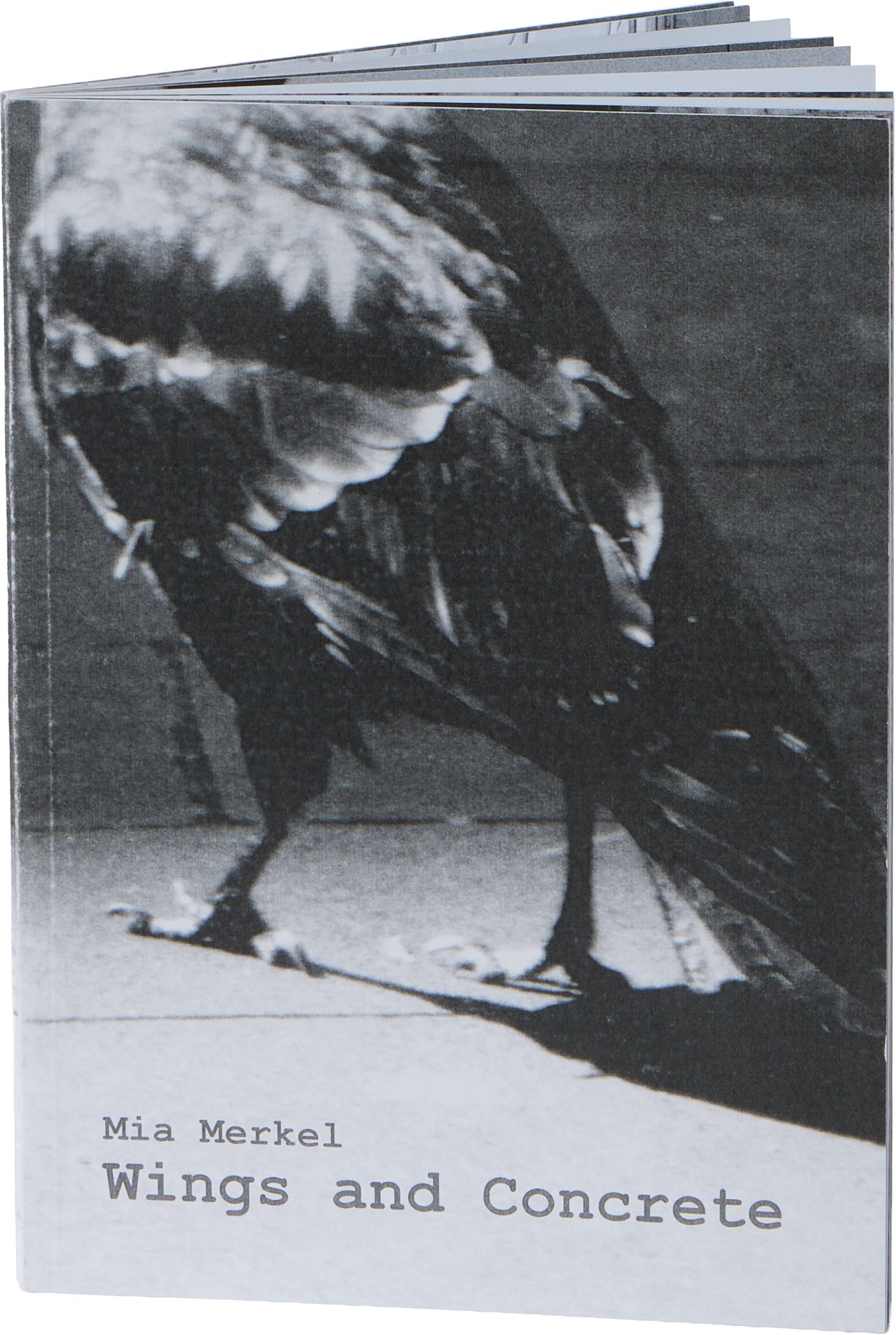 Buchcover: Wings and Concrete