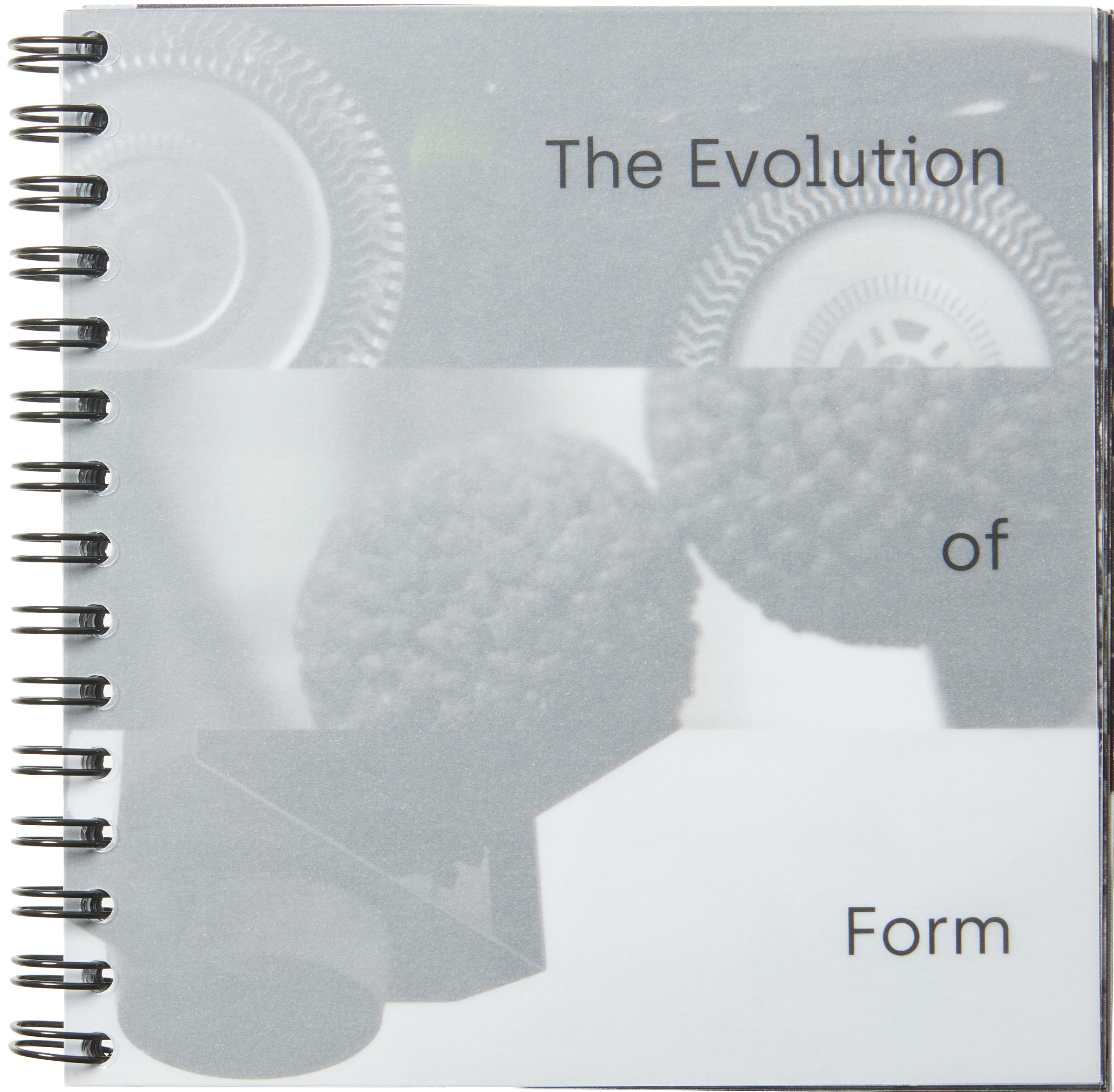 Buchcover: The Evolution of Form